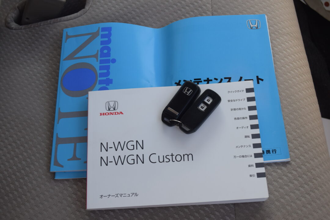 N-WGN9293