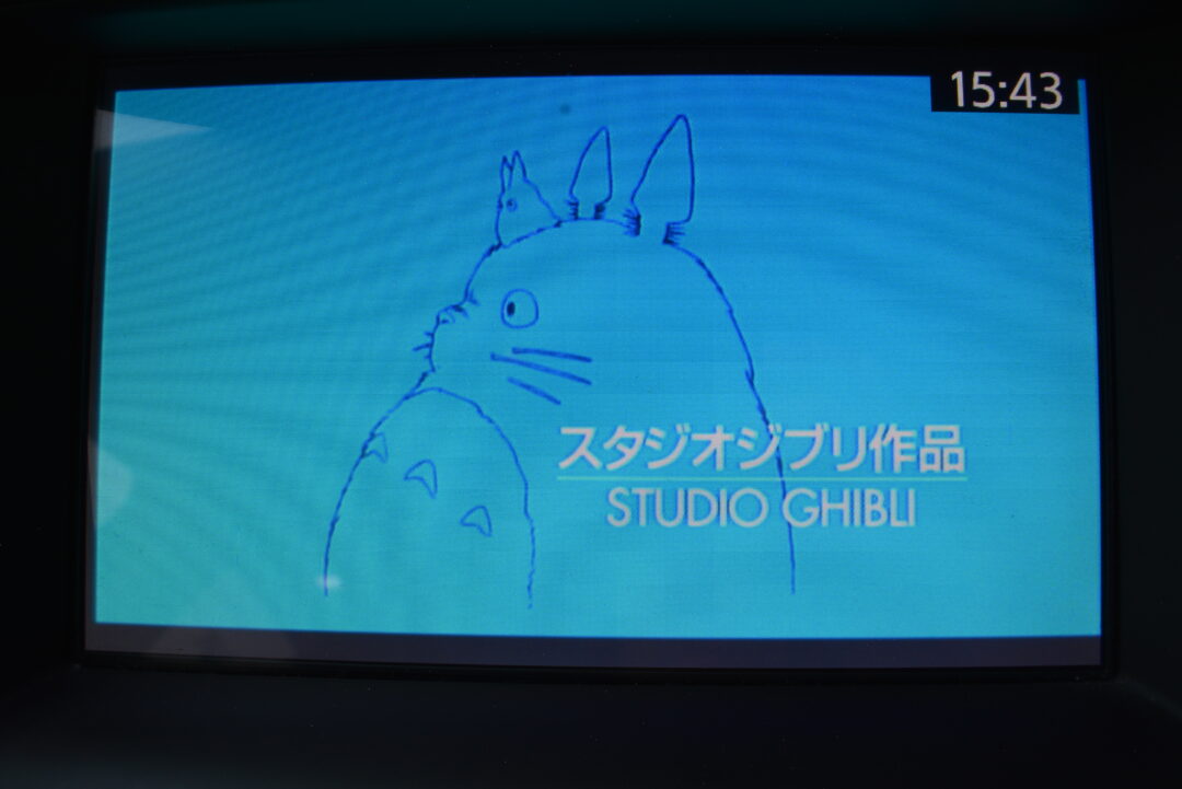 スカイライン8896