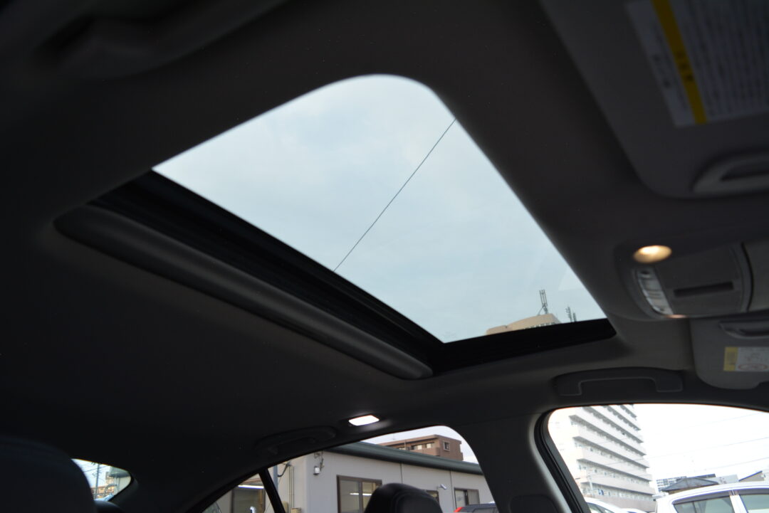 スカイライン8896