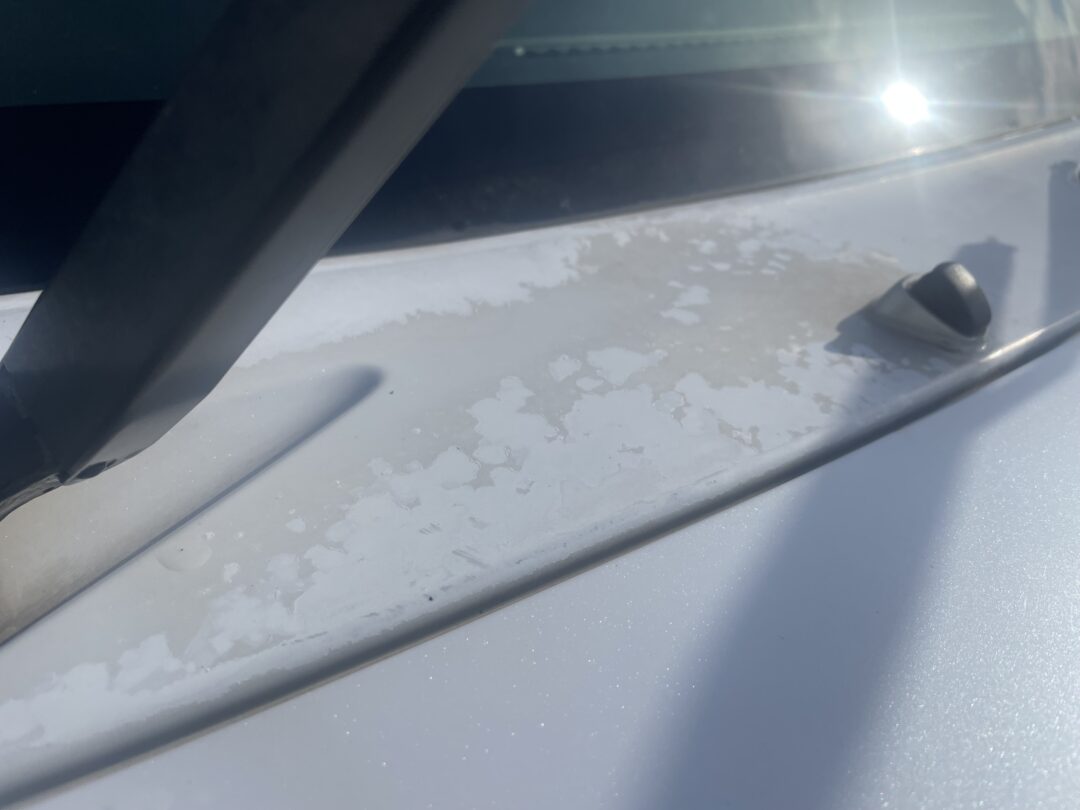 ミラココア 3170