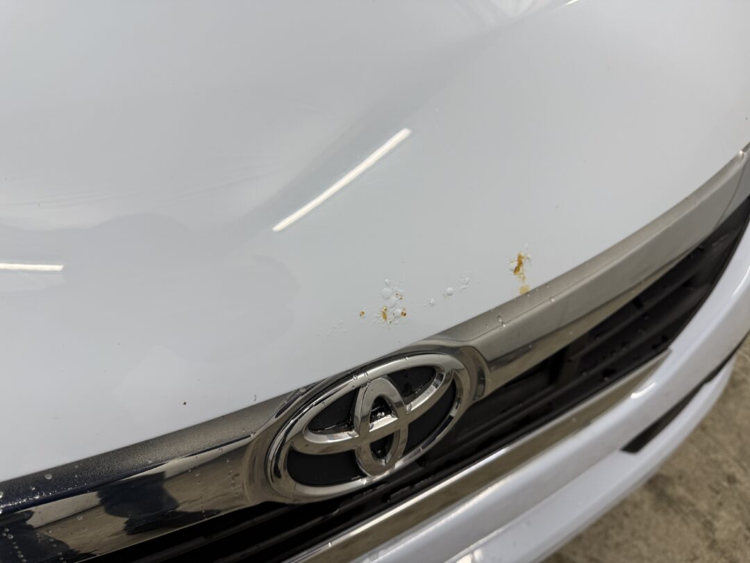 ピクシスエポック 3640