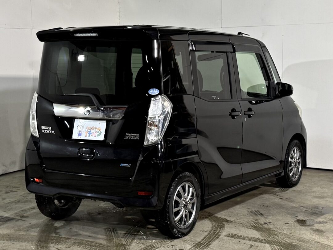 デイズルークス 0973