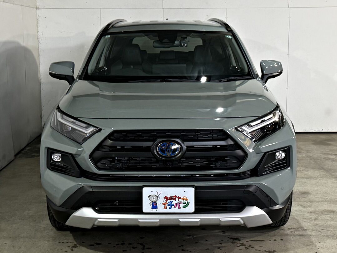 RAV4 5281