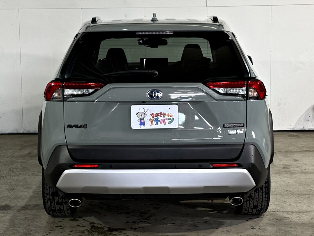 RAV4 5281