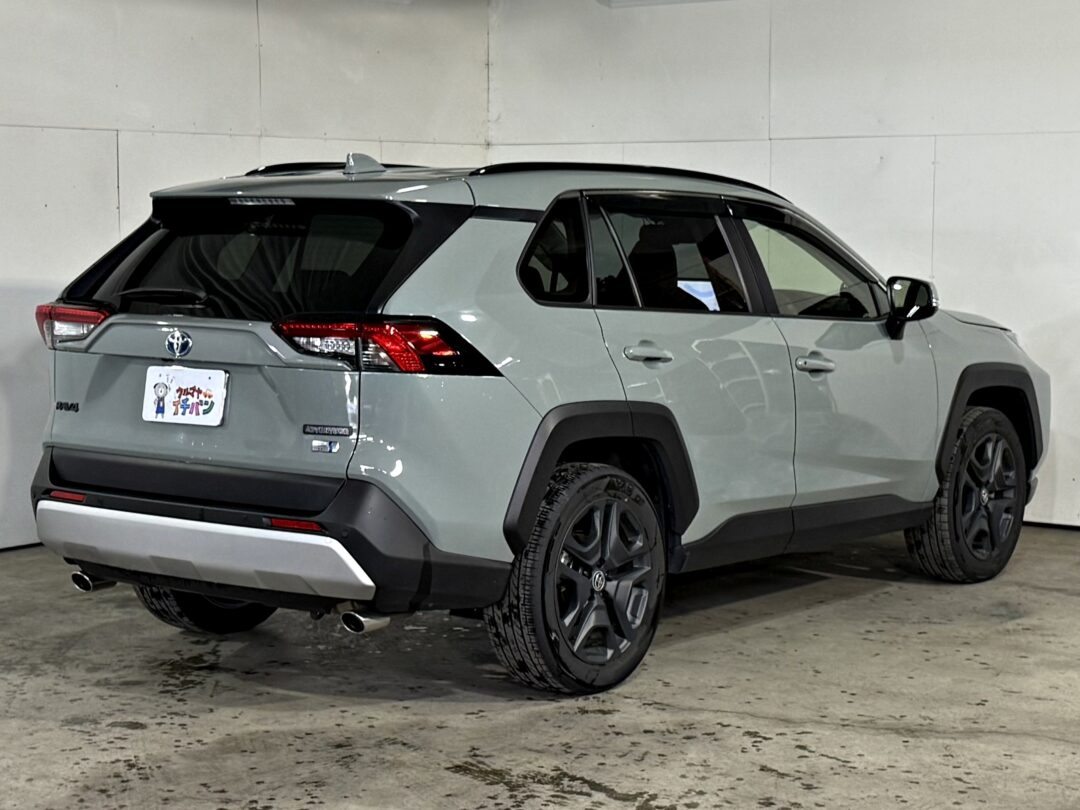 RAV4 5281