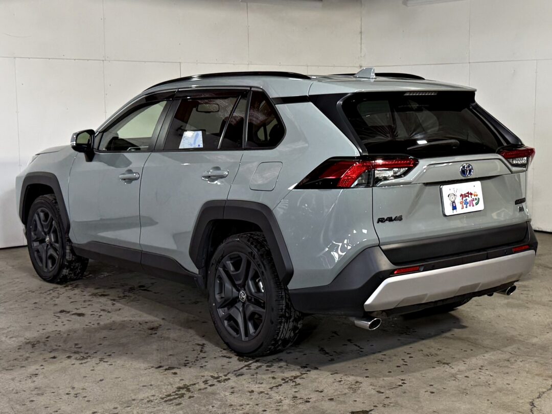RAV4 5281