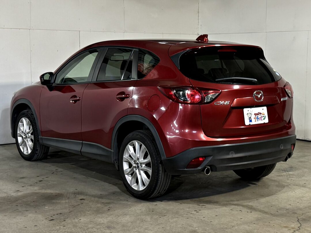 CX-5 3113
