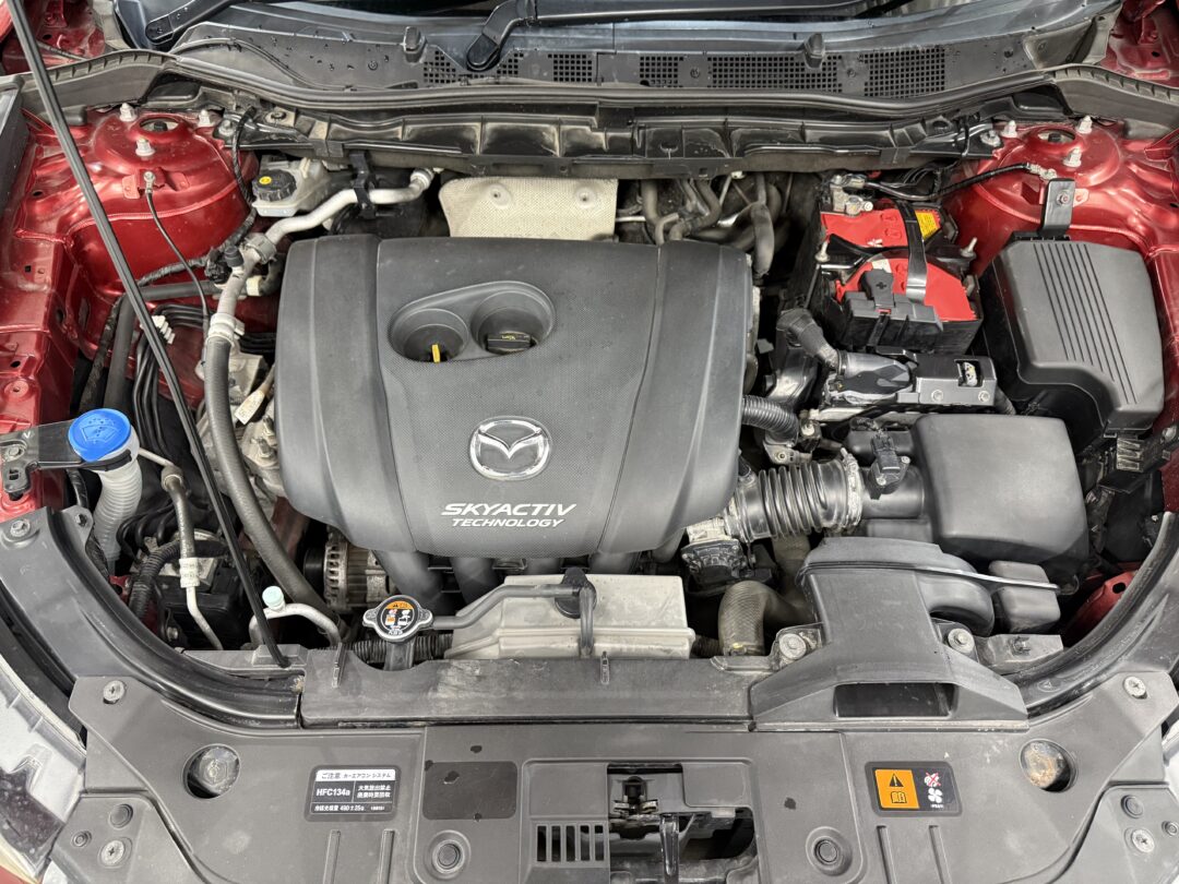 CX-5 3113