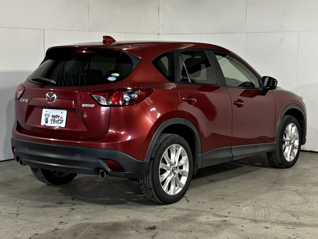 CX-5 3113