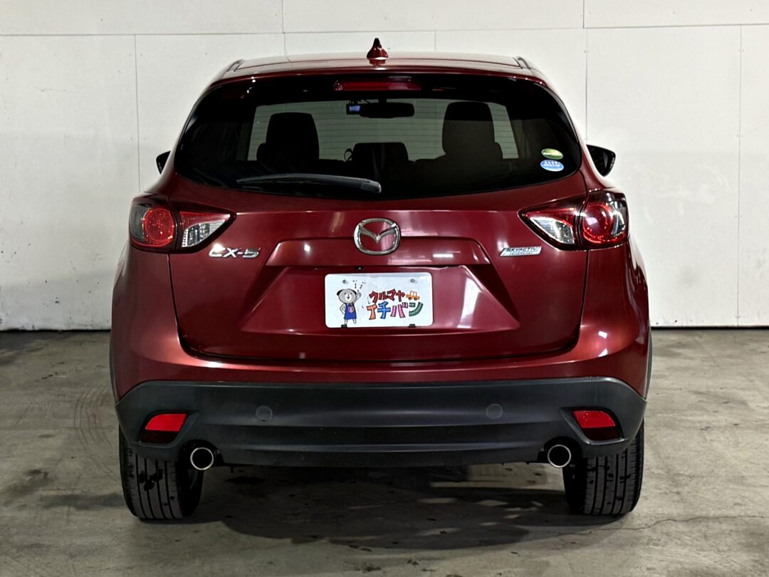 CX-5 3113