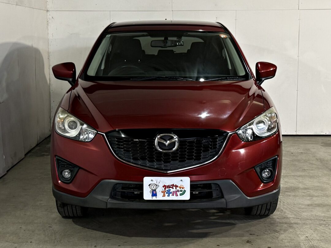 CX-5 3113